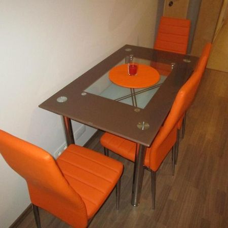 Apartman Ricky V Orlickych Horach Wüstenei Buitenkant foto