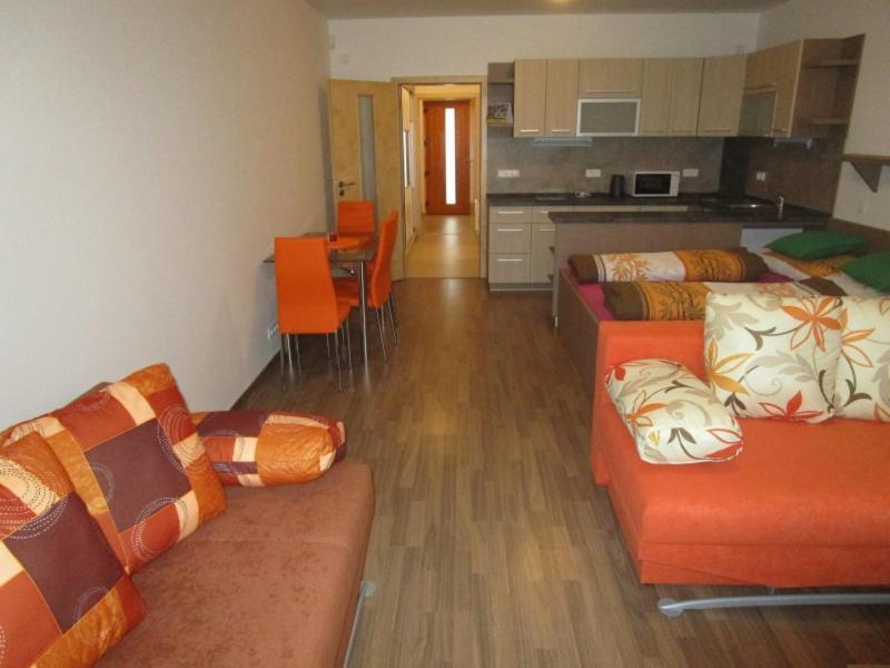 Apartman Ricky V Orlickych Horach Appartement Wüstenei Buitenkant foto