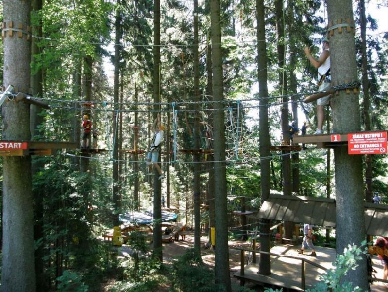 Apartman Ricky V Orlickych Horach Wüstenei Buitenkant foto
