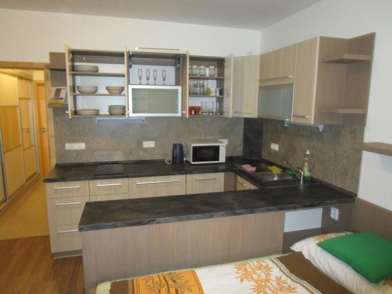 Apartman Ricky V Orlickych Horach Wüstenei Buitenkant foto