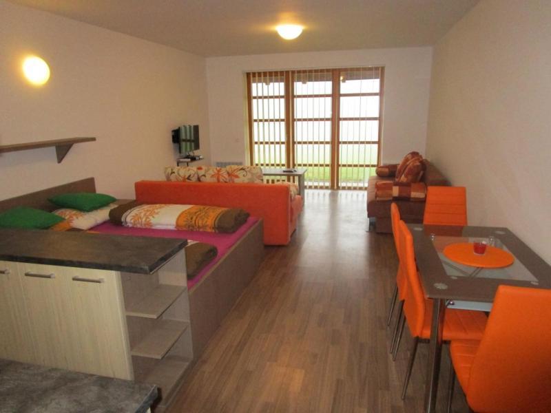 Apartman Ricky V Orlickych Horach Appartement Wüstenei Buitenkant foto