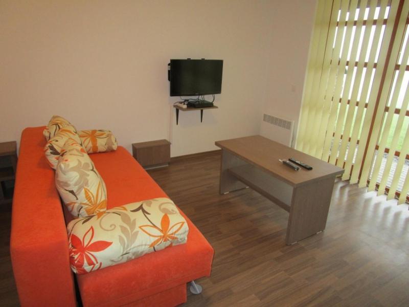 Apartman Ricky V Orlickych Horach Wüstenei Buitenkant foto