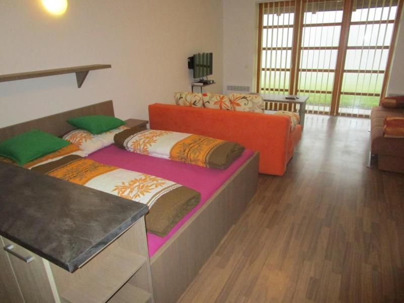 Apartman Ricky V Orlickych Horach Wüstenei Buitenkant foto